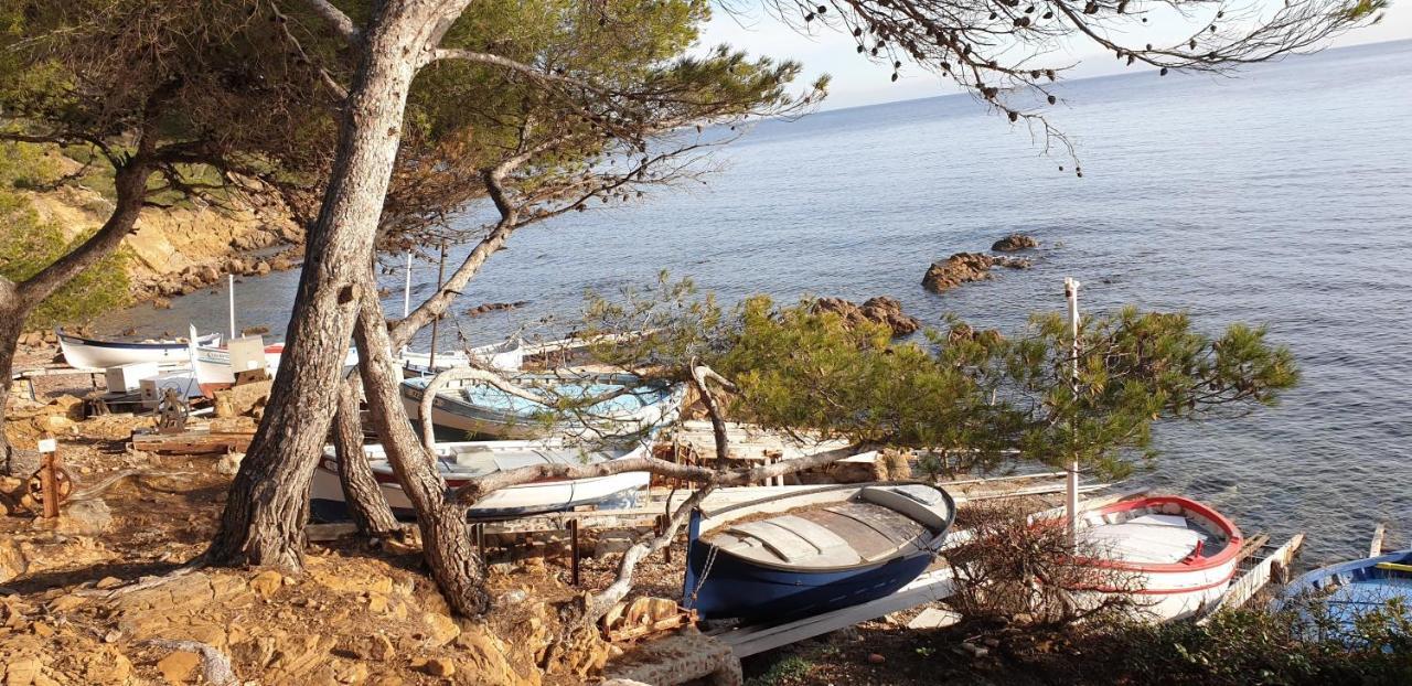 Chambres D'Hotes Chez Pat Et Nanou Six-Fours-les-Plages Εξωτερικό φωτογραφία